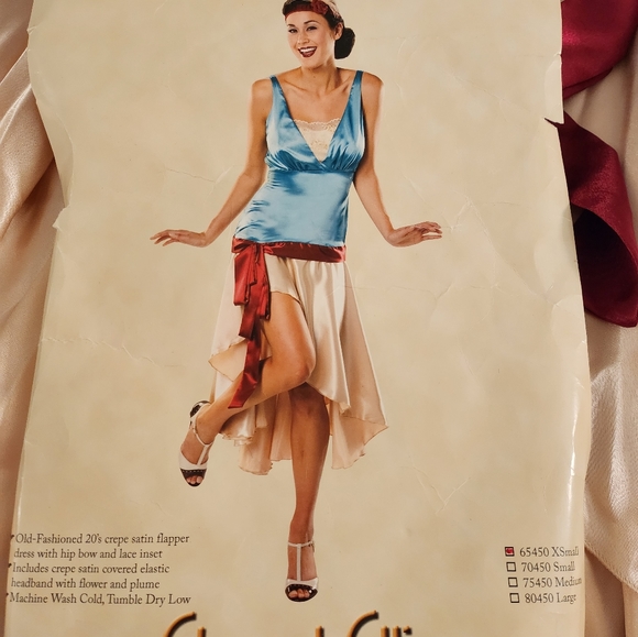 Flapper Costume - Picture 6 of 8